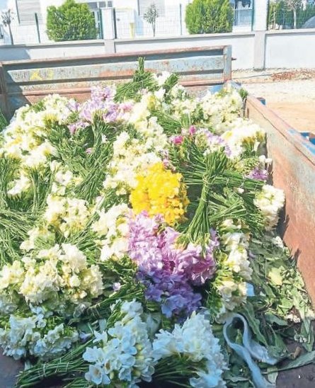 Izmir In Satilmayan Cicekleri Cope Gitti