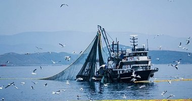Denizlerde özel av yasak tarihleri belli oldu! İşte o liste...