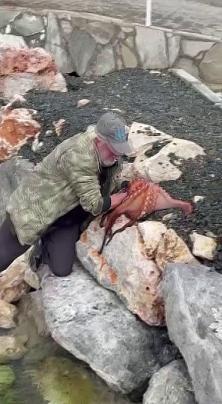 izmirde-gorenleri-hayrete-dusuren-anlar-dev-ahtapotu-elleriyle-avladi-1774859523427.jpeg