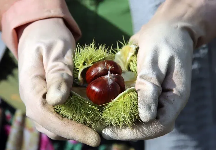 1792742762493.png