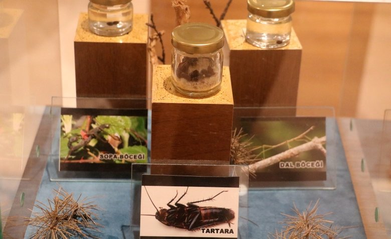 Afyonkarahisar’daki yumurta müzesi dikkat çekiyor