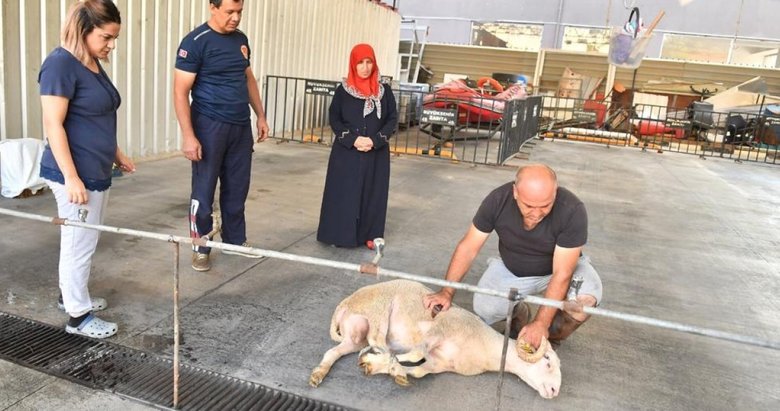 Kurban Bayramı öncesi sağlığa dikkat