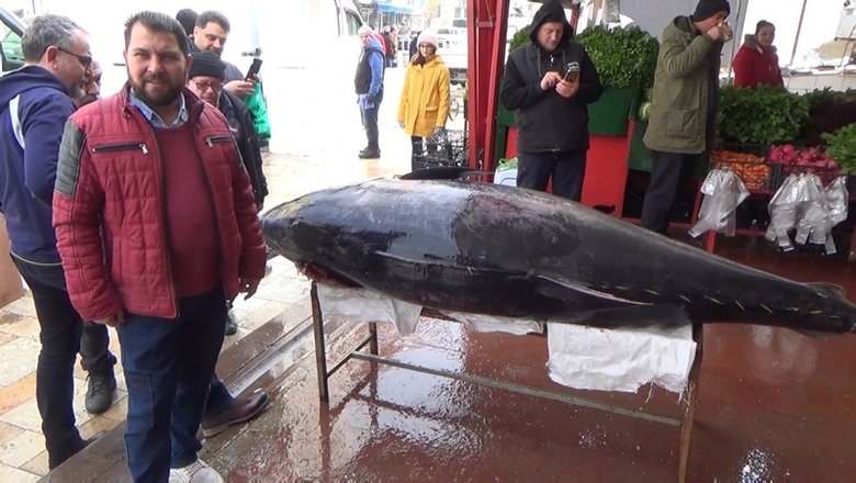 İzmir’de 450 kiloluk orkinos yakalandı! Dev orkinos 22 bin 500 TL’ye satıldı