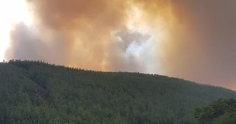 Kütahya’da orman yangını!