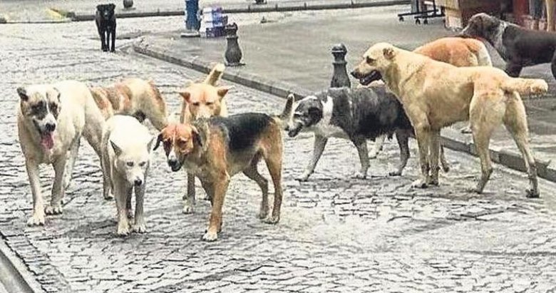 Bodrum Belediyesi’ne 100 milyonluk tarihi ceza