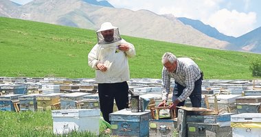 Egeli arıcının yüzü Yüksekova’da güldü!
