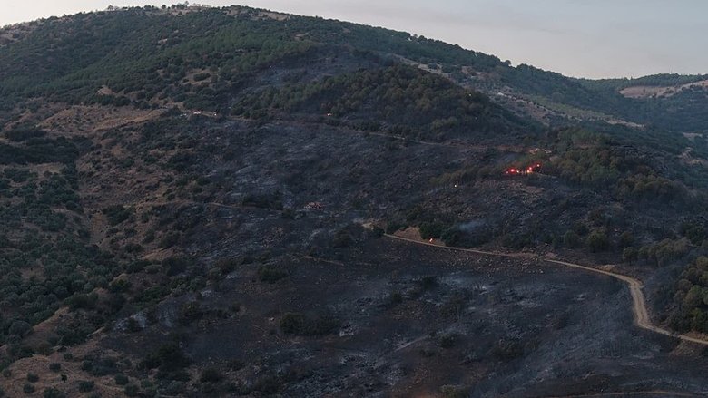 Aydın’da bahçe temizliği için yakılan ateş ormana sıçramıştı: 1 kişi gözaltında!