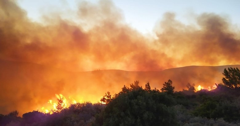 İzmir’de alev avcısı ormancıları duygulandıran mektup!