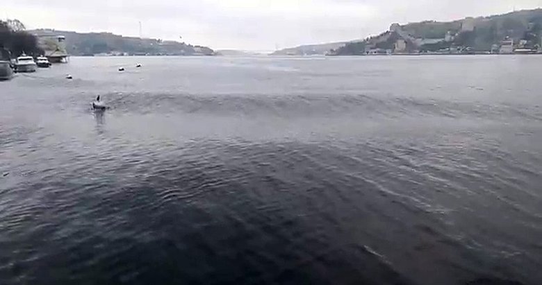 Uzmanlar deprem fırtınasını yorumladı