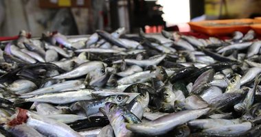 Uşak’ta balık tezgahları doldu