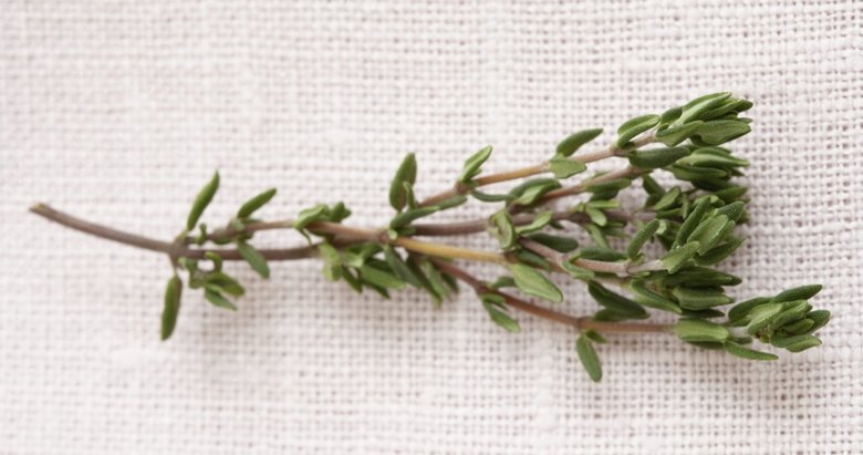 Öksürük için en güzel çare: Kekik