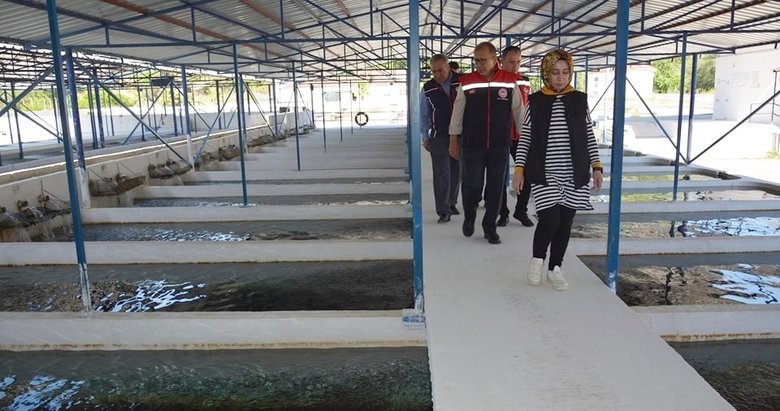 Aydın’da 230 milyon dolar gelir elde edildi