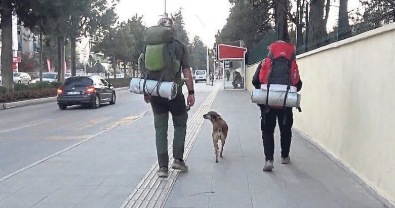 4 yıl önce yola çıktılar! Köpeği ile Türkiye’yi gezip fidan dikiyor
