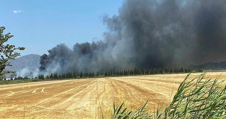 Çevre ve Şehircilik Bakanlığınca Dalaman’daki yangının başladığı kağıt fabrikası kapatıldı