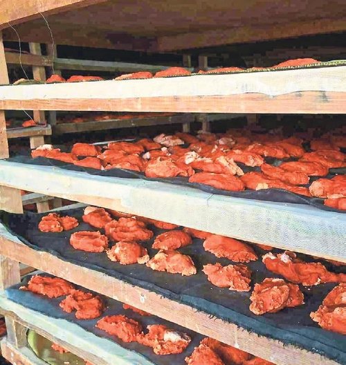 Sağlıklı yaşama atom çorba desteği