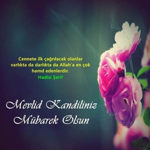 Mevlid Kandili mesajları! Resimli Mevlid Kandili mesajları...