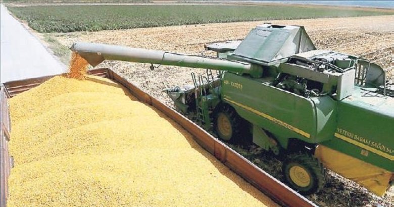 Yağlarda gümrük vergisi yıl sonuna kadar sıfırlandı