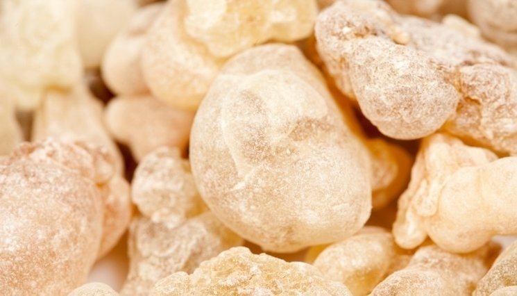 Bu besin ile 15 günde içinde 10 kiloya kadar verebilirsiniz! İşte zayıflatan mucize yöntem