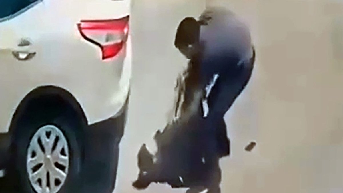 Adana'daki caninin ifadesi kan dondurdu! Nursel'i 