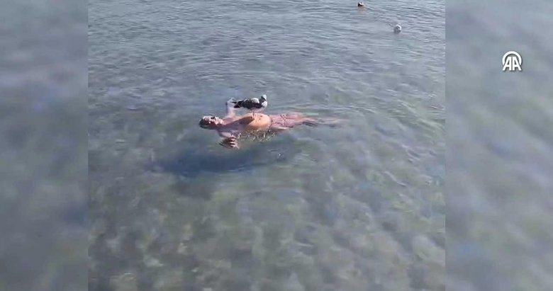 İzmir Foça’da bir martı denizde yüzen adamın göbeğine kondu! Sosyal medya bu anları konuştu