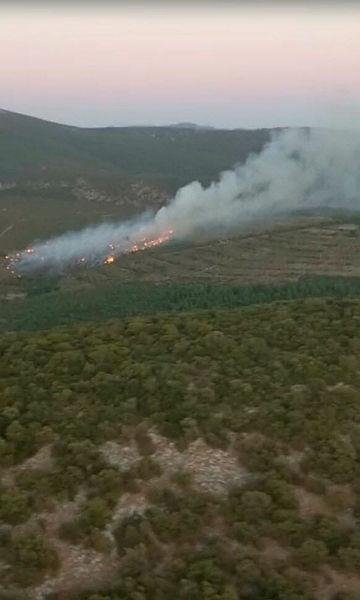 İzmir’de orman yangını! Hızlı müdahale ile kontrol altında
