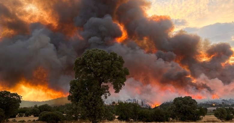 Uşak’ta 40 saat süren orman yangını kontrol altına alındı