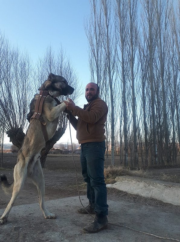 Afyonkarahisar’daki komşu kavgası kanlı bitti: 1 ölü