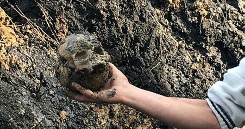 Nazili Meslek Yüksek Okulu bahçesinde kafatası ve kemik parçaları bulundu