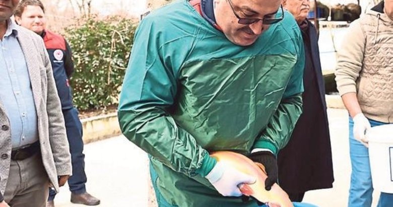 Balık ihracatına bu yıl Denizli’den büyük katkı