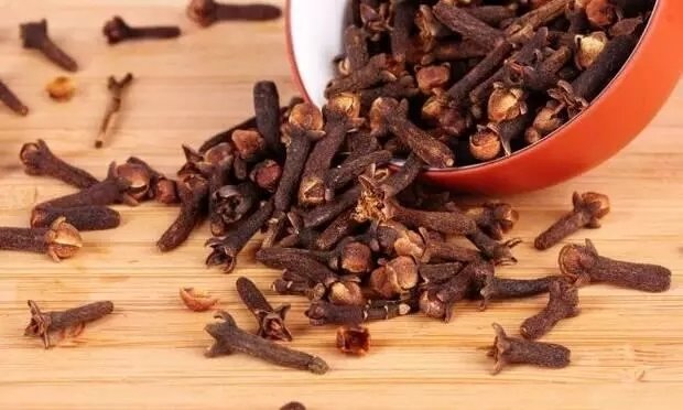 Sivrisinekler artık size yaklaşamayacak! Bu doğal yöntemleri deneyin