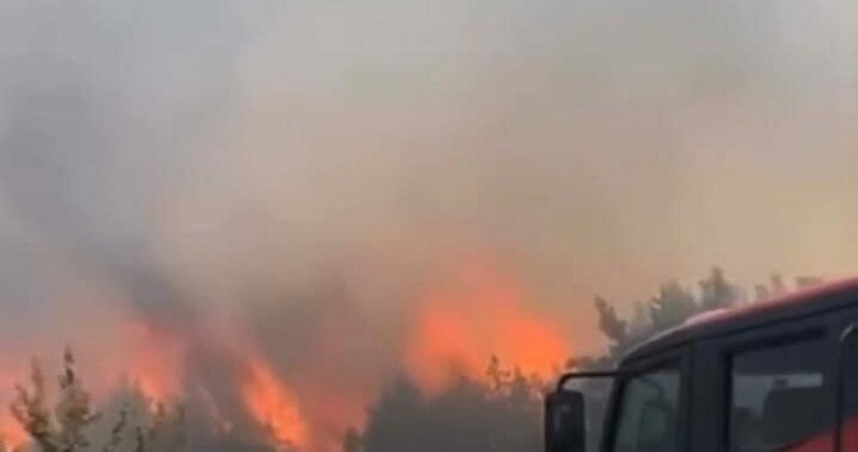 İzmir Çeşme’de otluk alan yangını