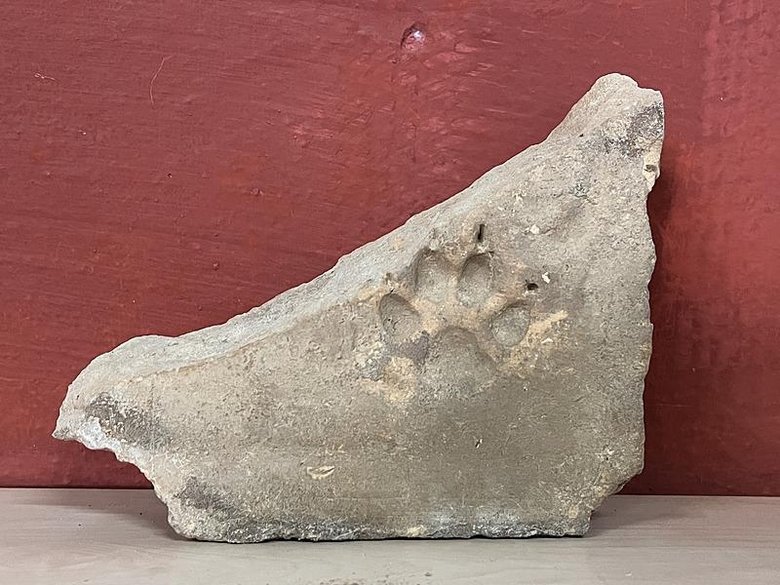 Eserlerin üzerinde pati izleri! Muğla’da tarih yeniden yazılıyor