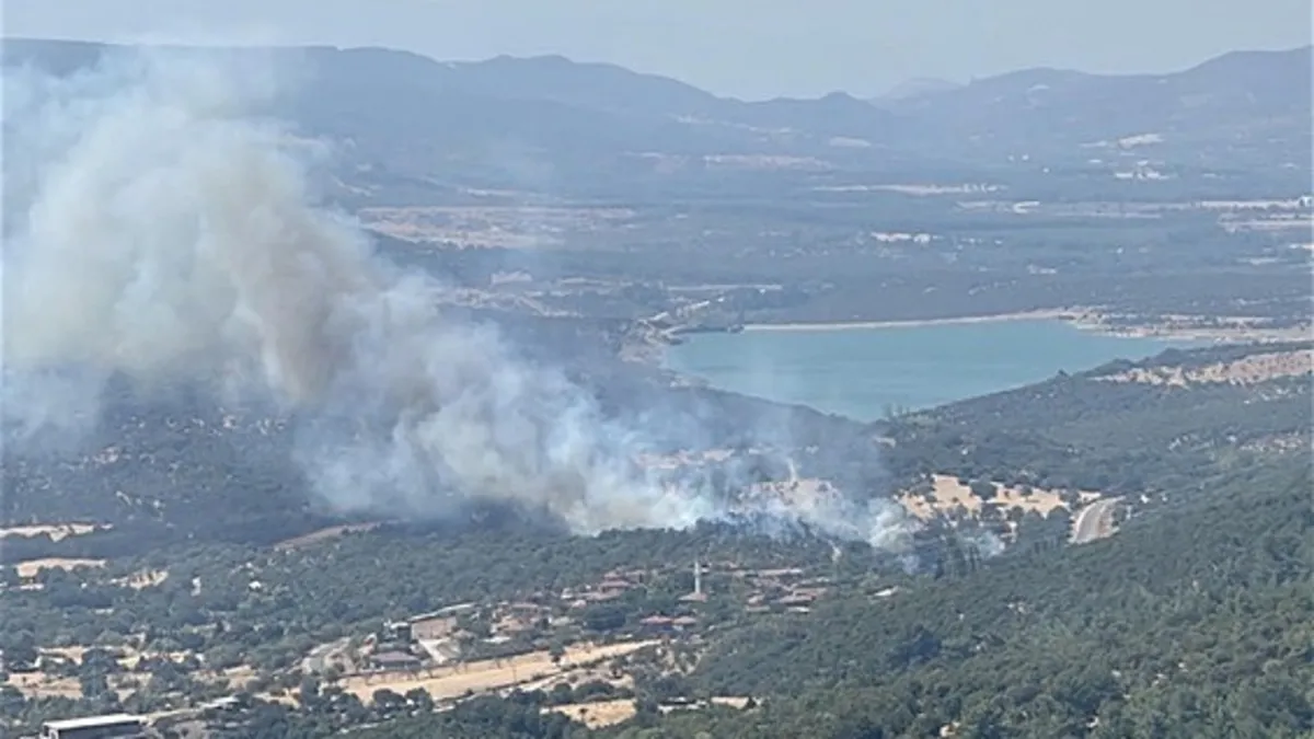 Çanakkale'de tarım arazisi ve merada yangın! Vali Toraman'dan açıklama