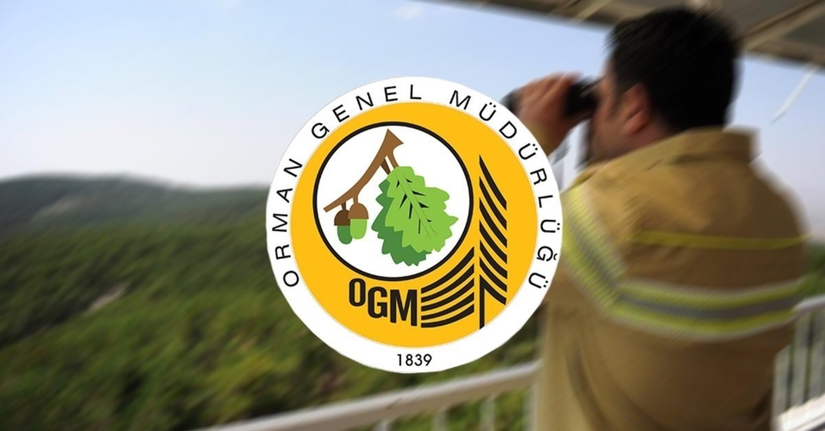 Orman Genel Müdürlüğü İŞKUR personel alımı! Başvuru şartları nelerdir?