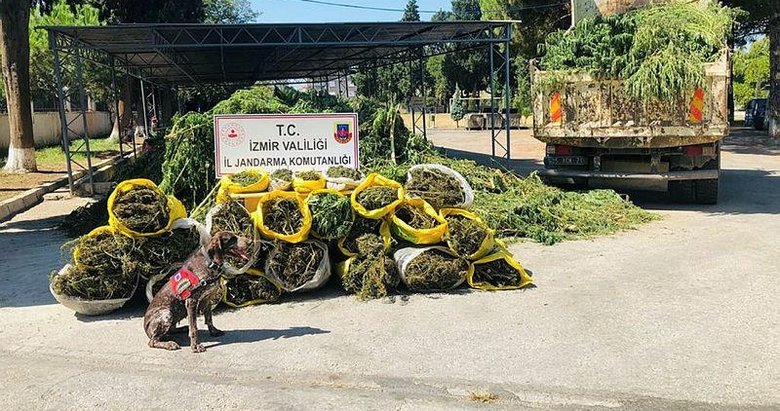 İzmir’deki drone destekli uyuşturucu operasyonunda 4 gözaltı