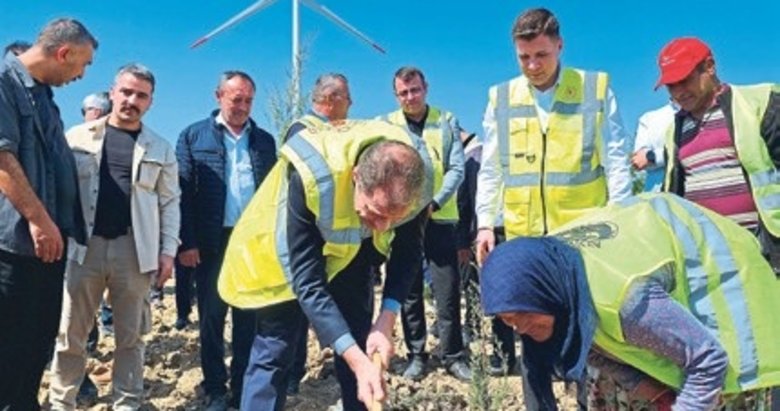 Çanakkale’ye 100 bin fidan takviyesi