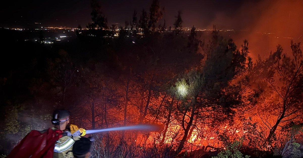 Aydın Söke'de orman yangını kontrol altında!
