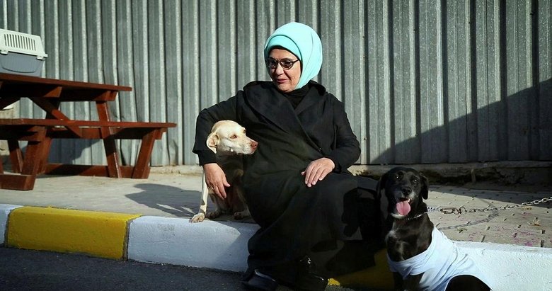 Emine Erdoğan, engelli köpek ’Leblebi’yi sahiplendi