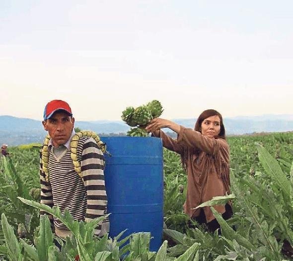 Memurluğu bırakıp çiftçi oldular
