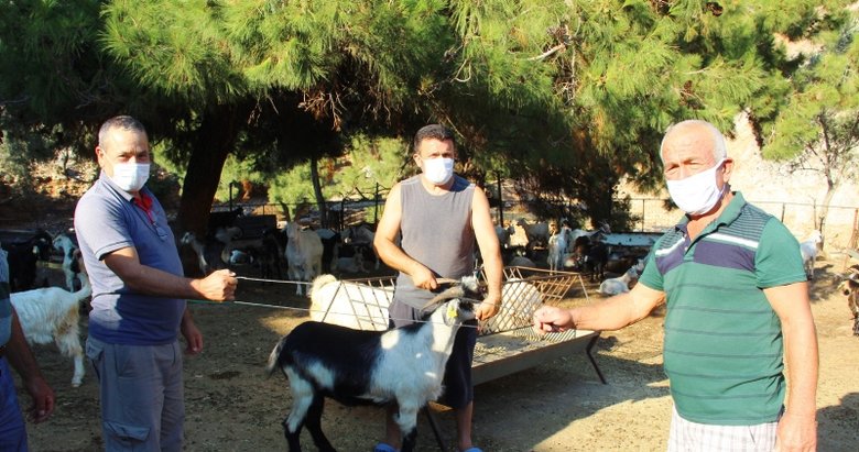 Kurban pazarlığında tokalaşma devri bitti, iple pazarlık başladı