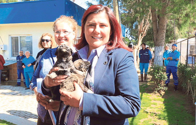 İşte Tunç Soyer’in açtığı Seferihisar Hayvan Barınağı’nın içler acısı hali