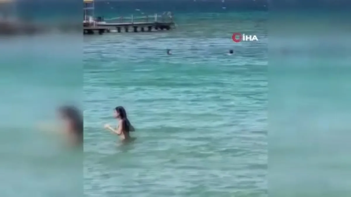 İzmir Çeşme’de denizde yılan paniği