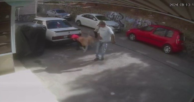 Sokak köpeği kendisini seven çocuğu başından ve kulağından ısırdı