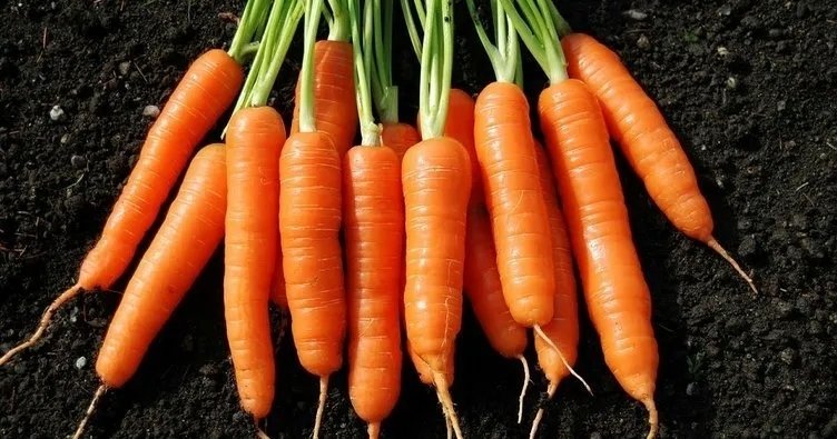 Bu besinde yok yok! Havucun hiç bilmeyen faydalarını öğrenince çok şaşıracaksınız