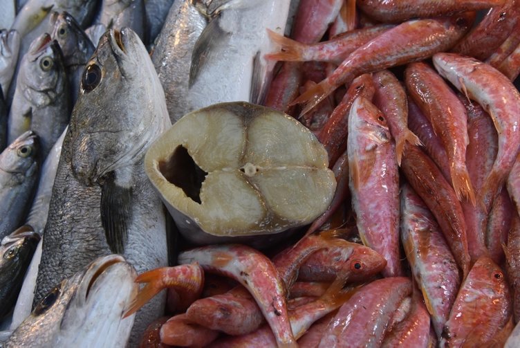 Balık alırken dikkat! Palamut, torik ve tombik balıklarından nasıl ayırt edilir?
