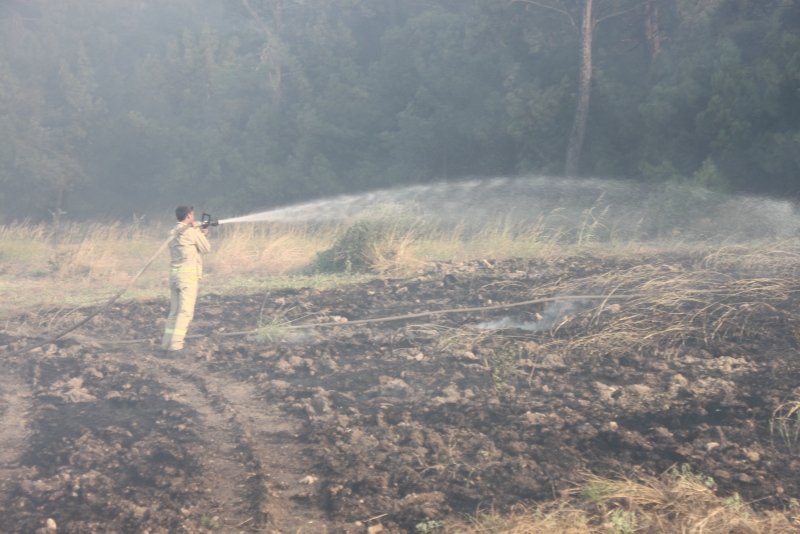 Çanakkale’de orman yangını