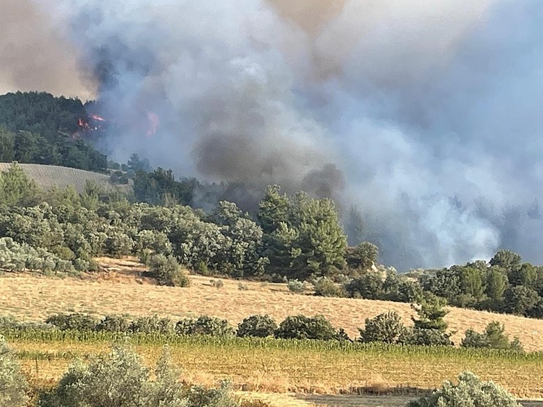 İzmir ve Manisa’da orman yangını! İşte bölgedeki son durum...