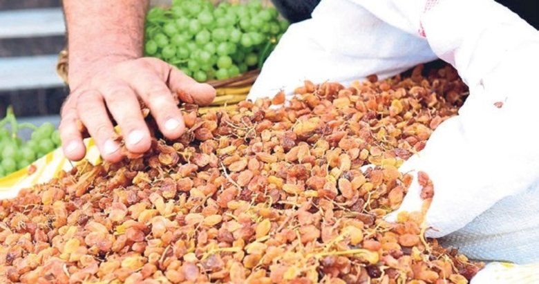 Üzümde 12 milyar TL’lik hasar ödemesi gerçekleşti