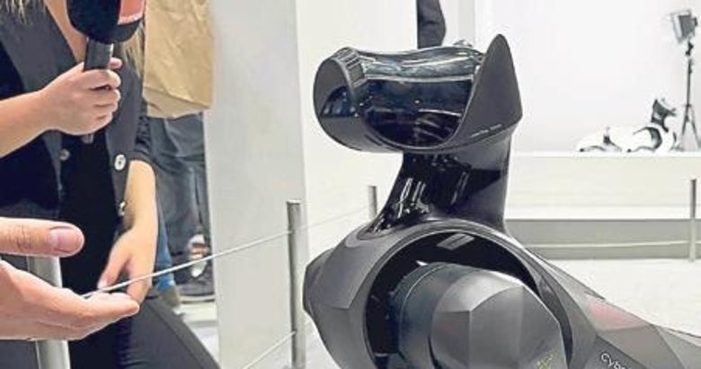 Robotik köpek evlerde fabrikalarda çalışacak