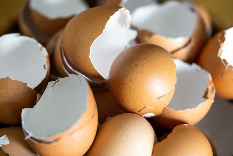 Yumurta kabuğunun faydaları nelerdir?
